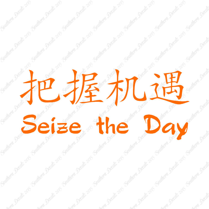 Chinese Symbols "Seize The Day"