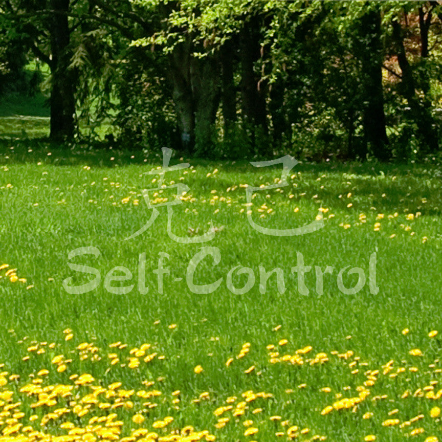 Chinese Symbols "Self Control"