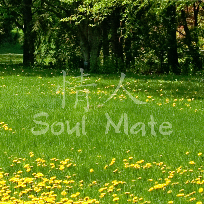 Chinese Symbols "Soul Mate"
