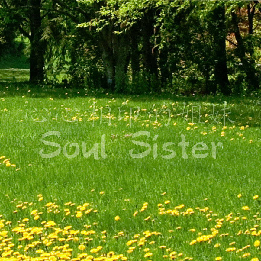 Chinese Symbols "Soul Sister"