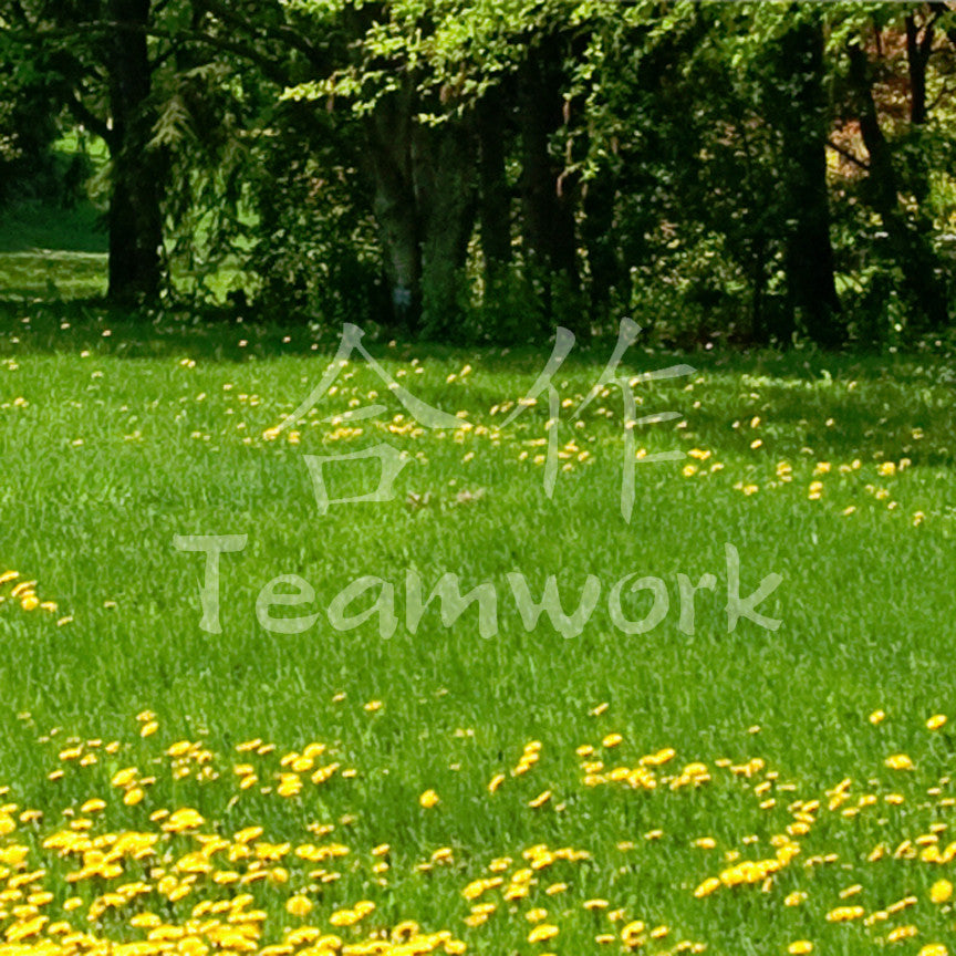 Chinese Symbols "Teamwork"