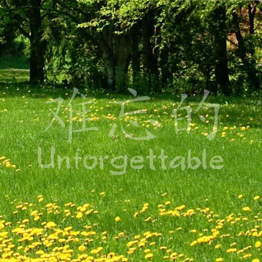 Chinese Symbols "Unforgettable"