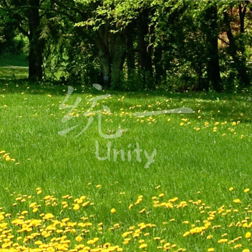 Chinese Symbols "Unity"
