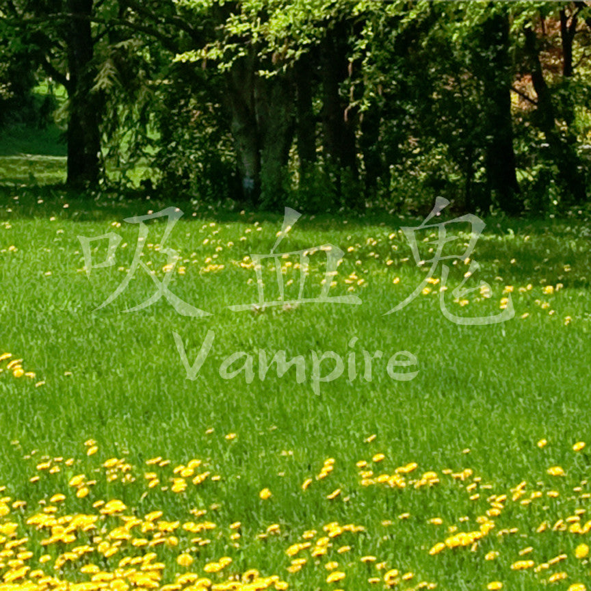 Chinese Symbols "Vampire"
