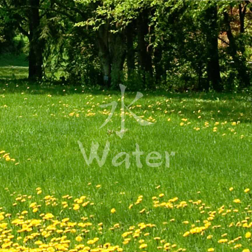 Chinese Symbols "Water"