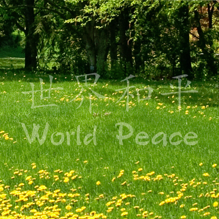 Chinese Symbols "World Peace"
