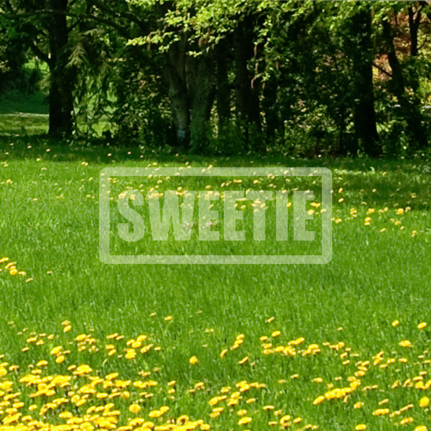 Sweetie