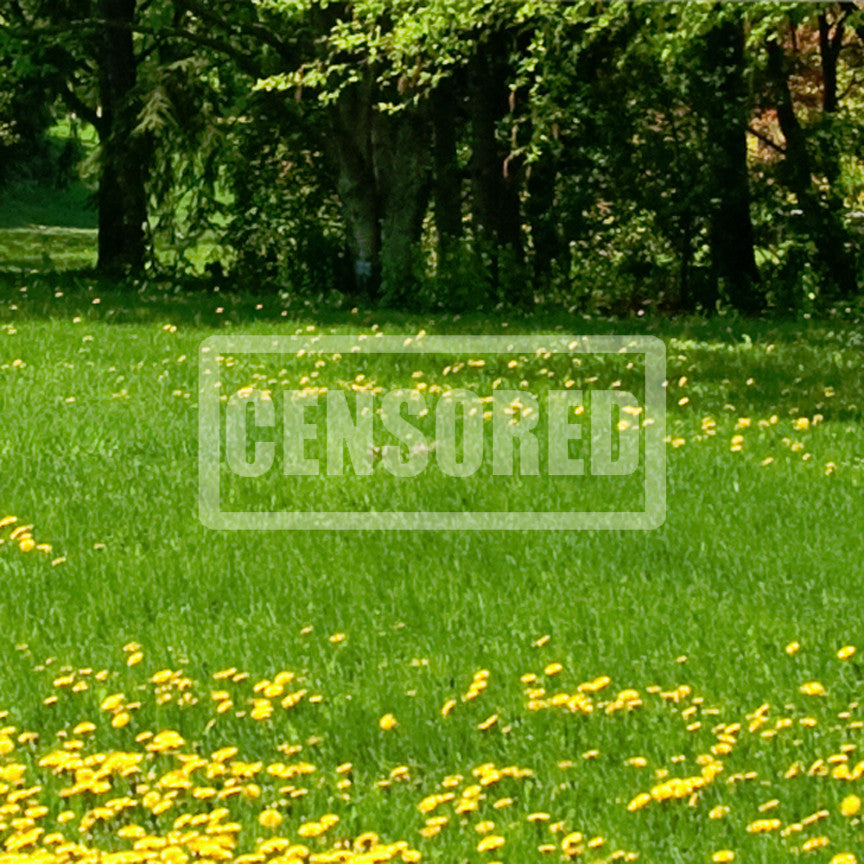 Censored