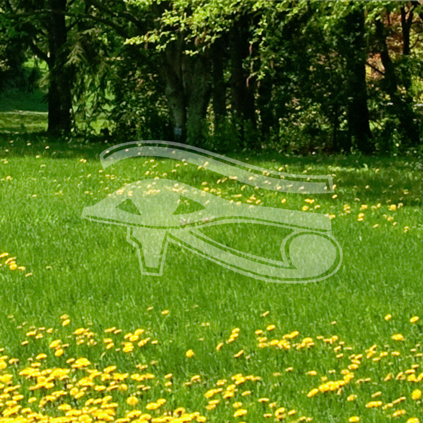 Wadjet Eye Of Horus