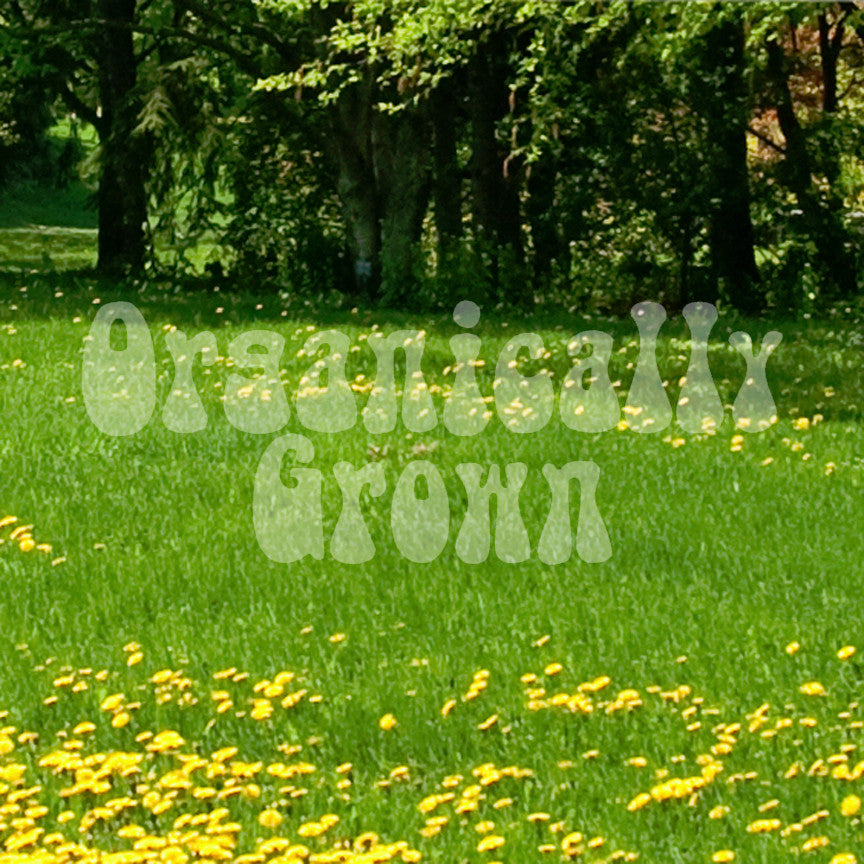 Organically Grown