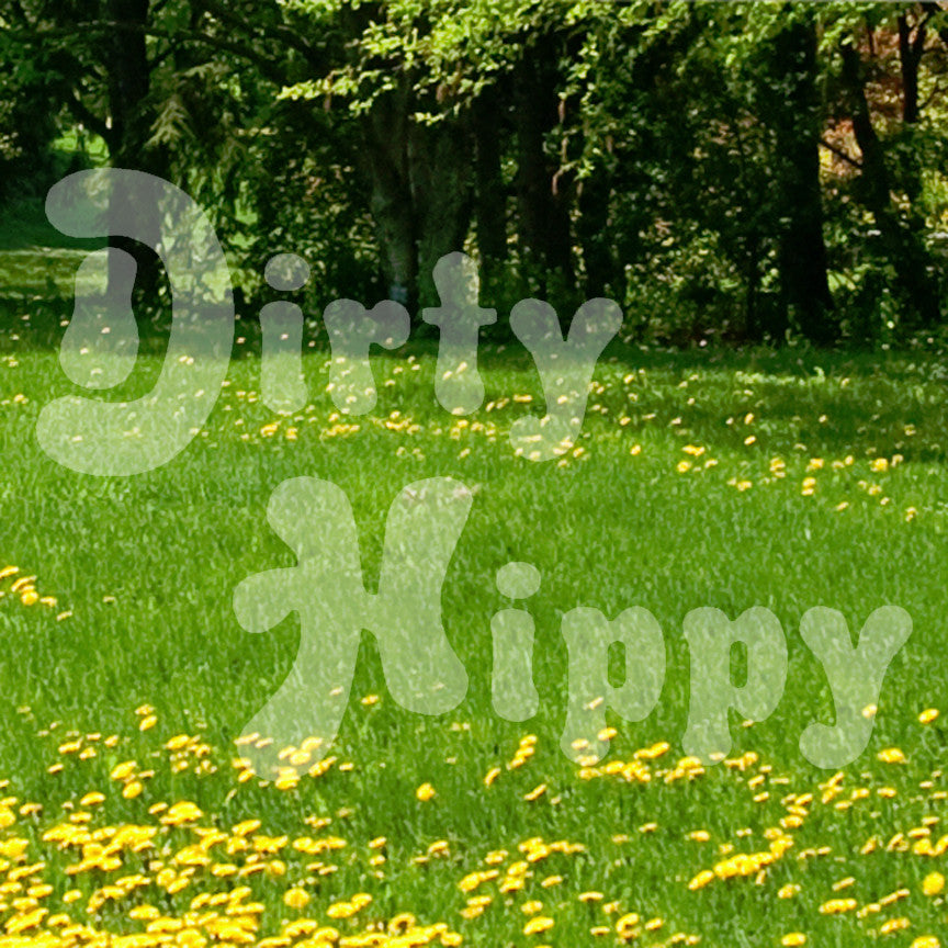 Dirty Hippy