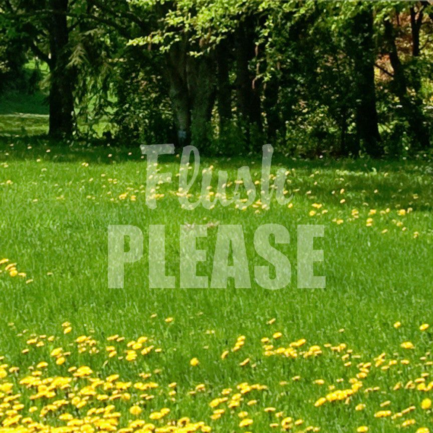 Flush Please
