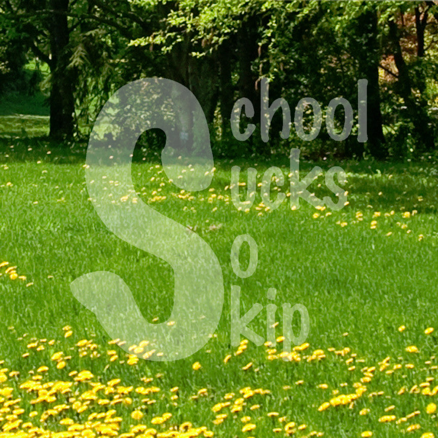 School Sucks So Skip
