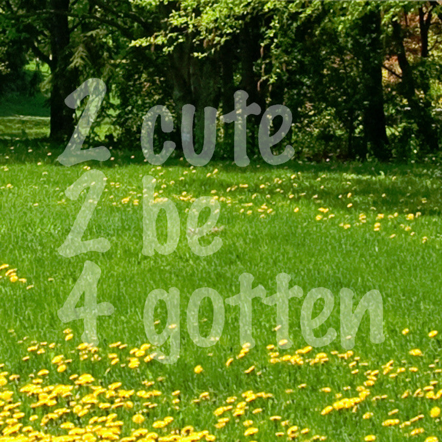 2 Cute 2 Be 4 Gotten Forgotten
