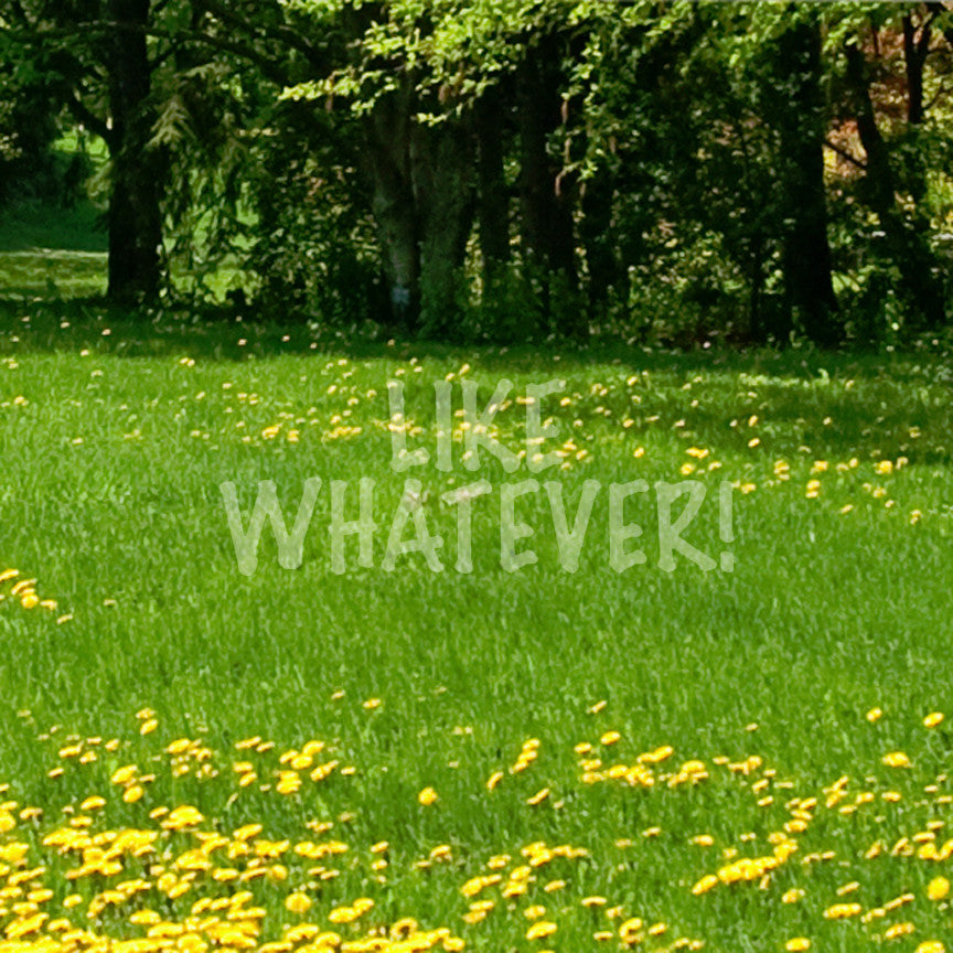 Like Whatever