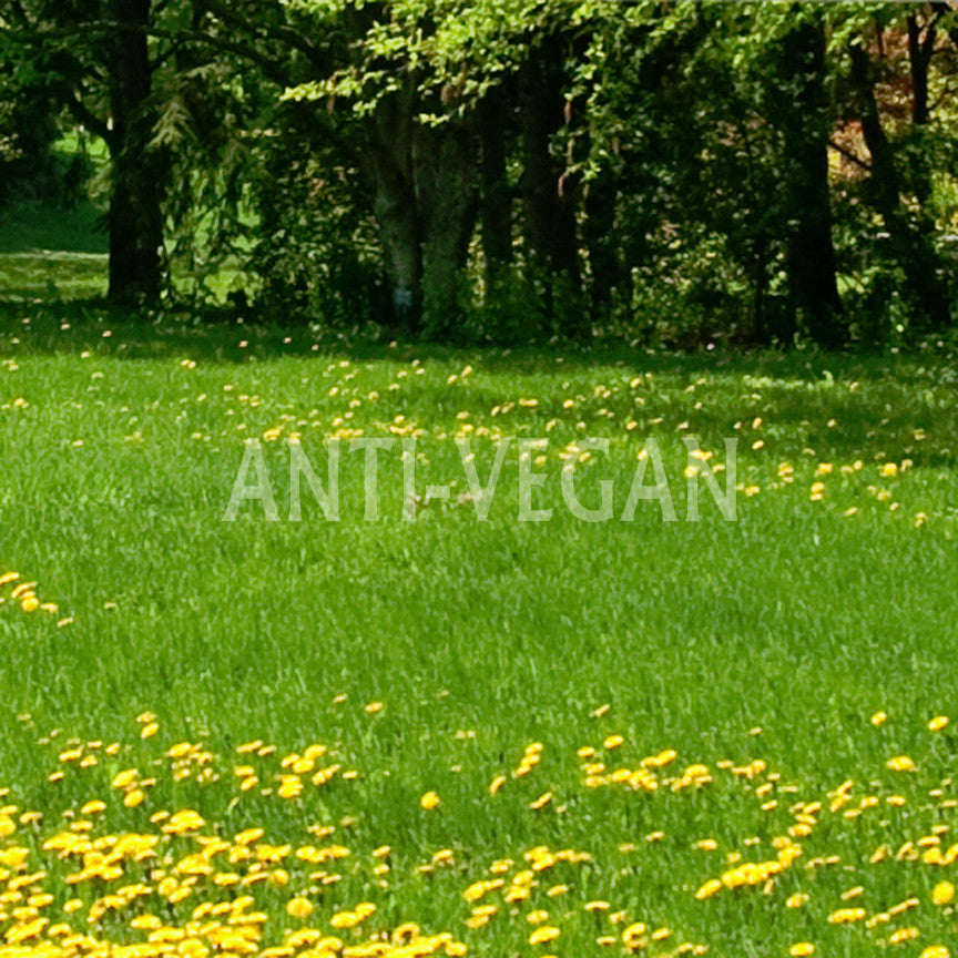 Anti Vegan