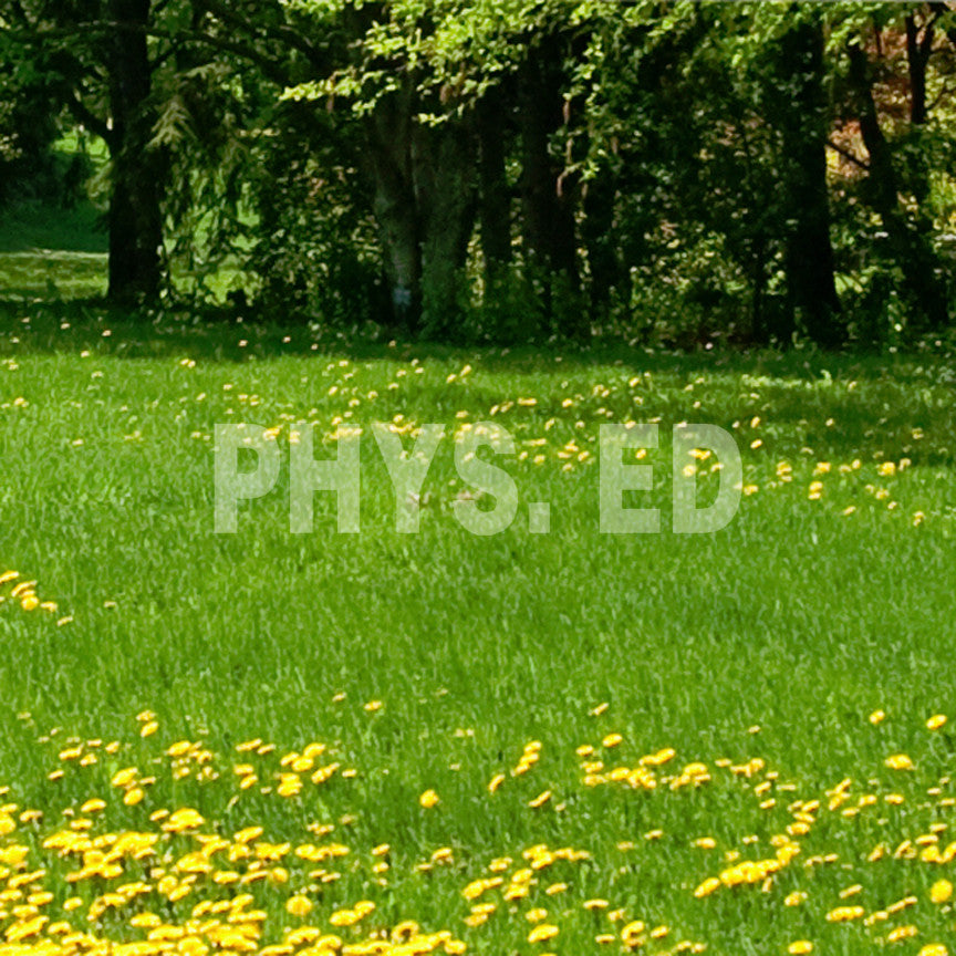 Phys Ed Physical Education Class