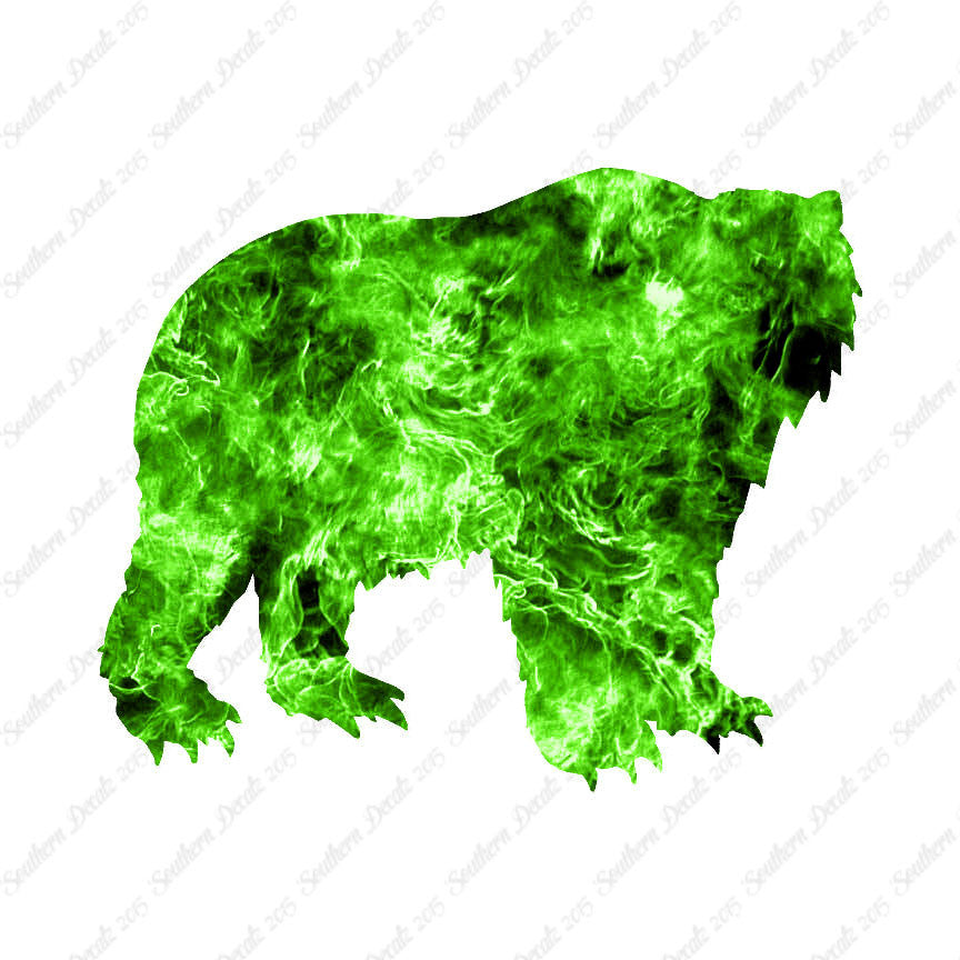 Kodiak Bear