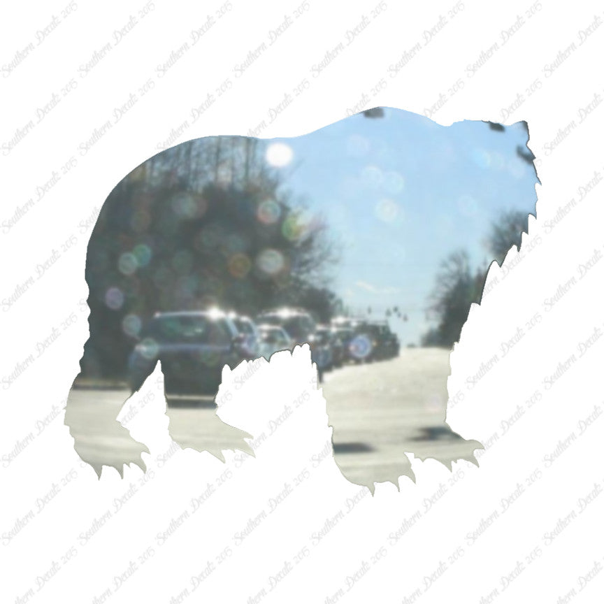 Kodiak Bear