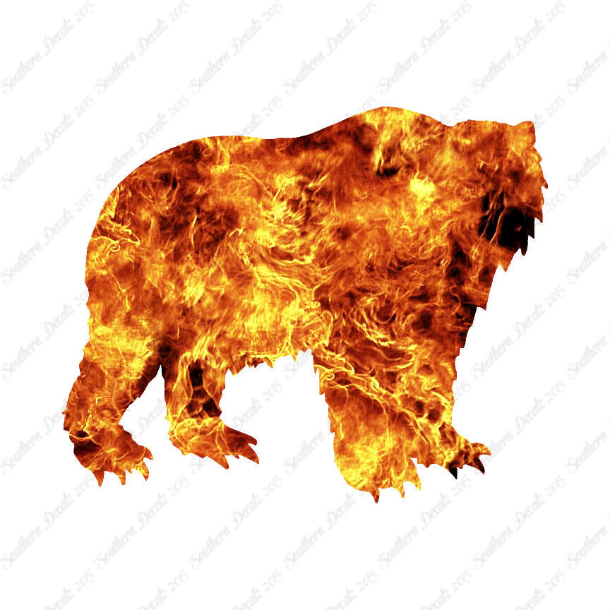 Kodiak Bear