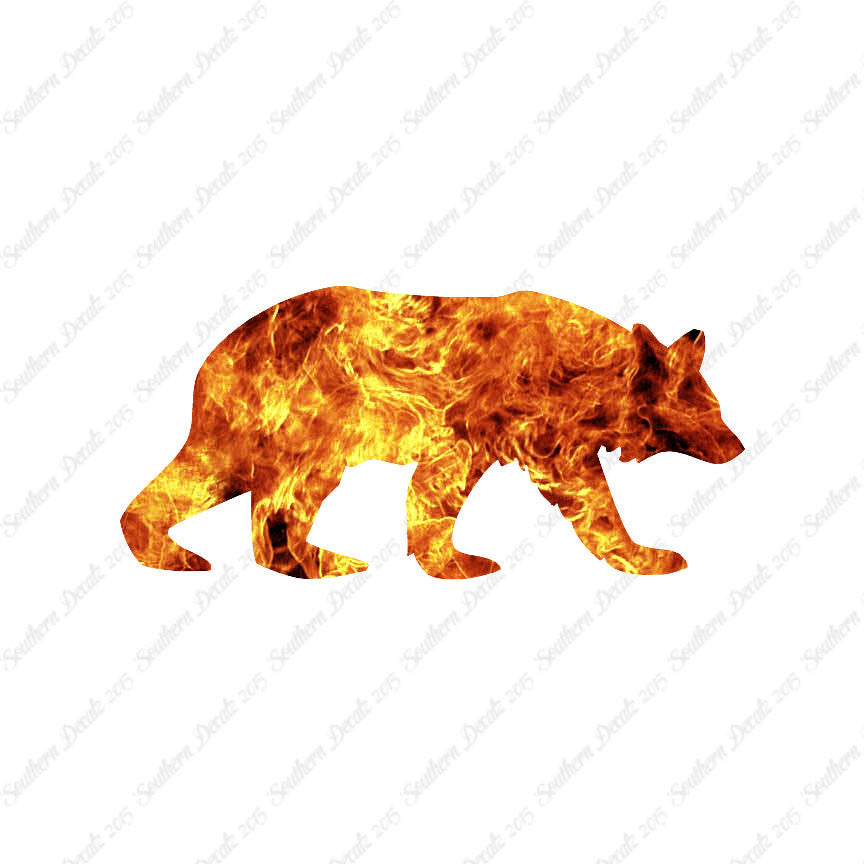 Black Brown Bear