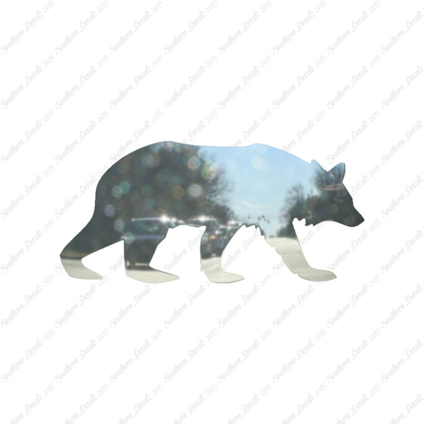 Black Brown Bear