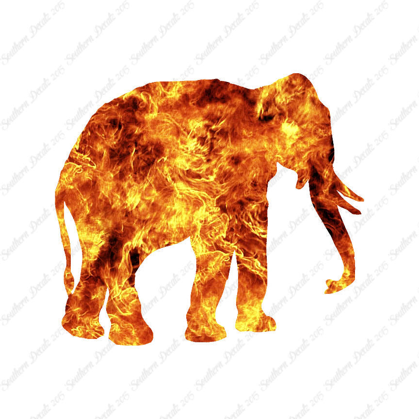 Elephant Trunk Tusks