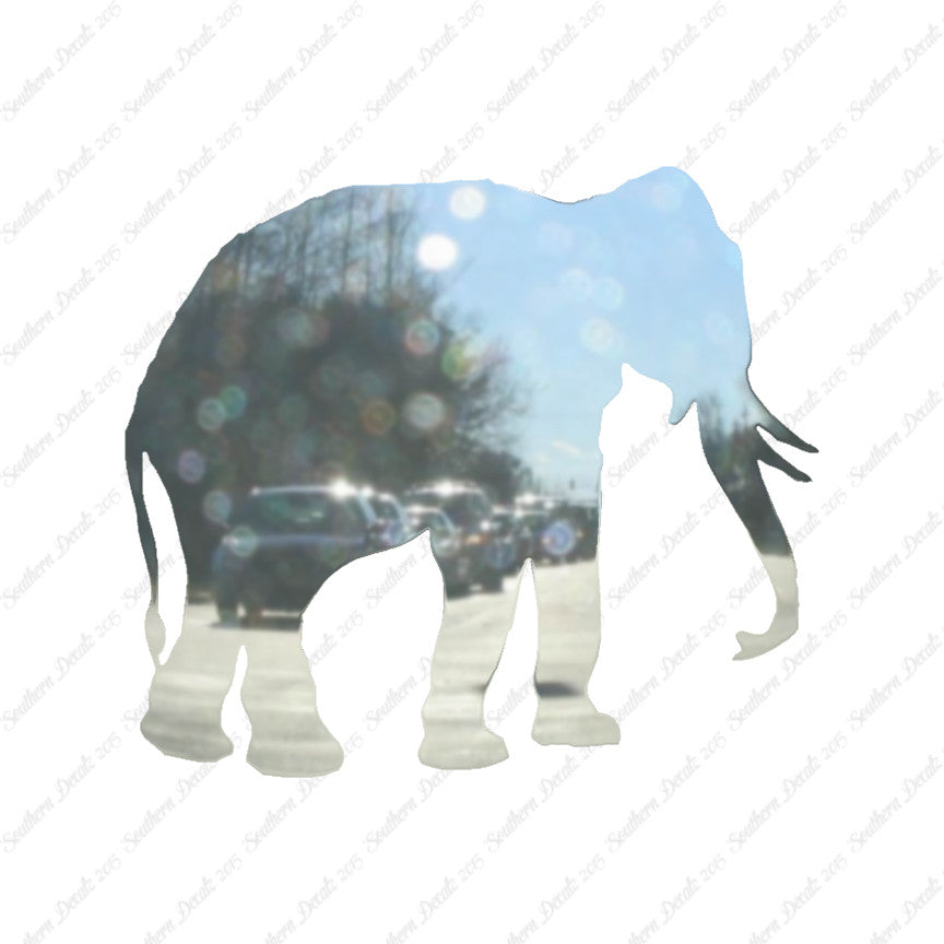 Elephant Trunk Tusks