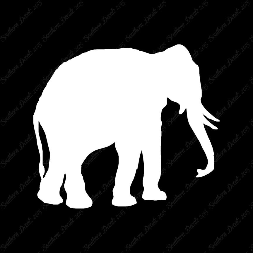 Elephant Trunk Tusks