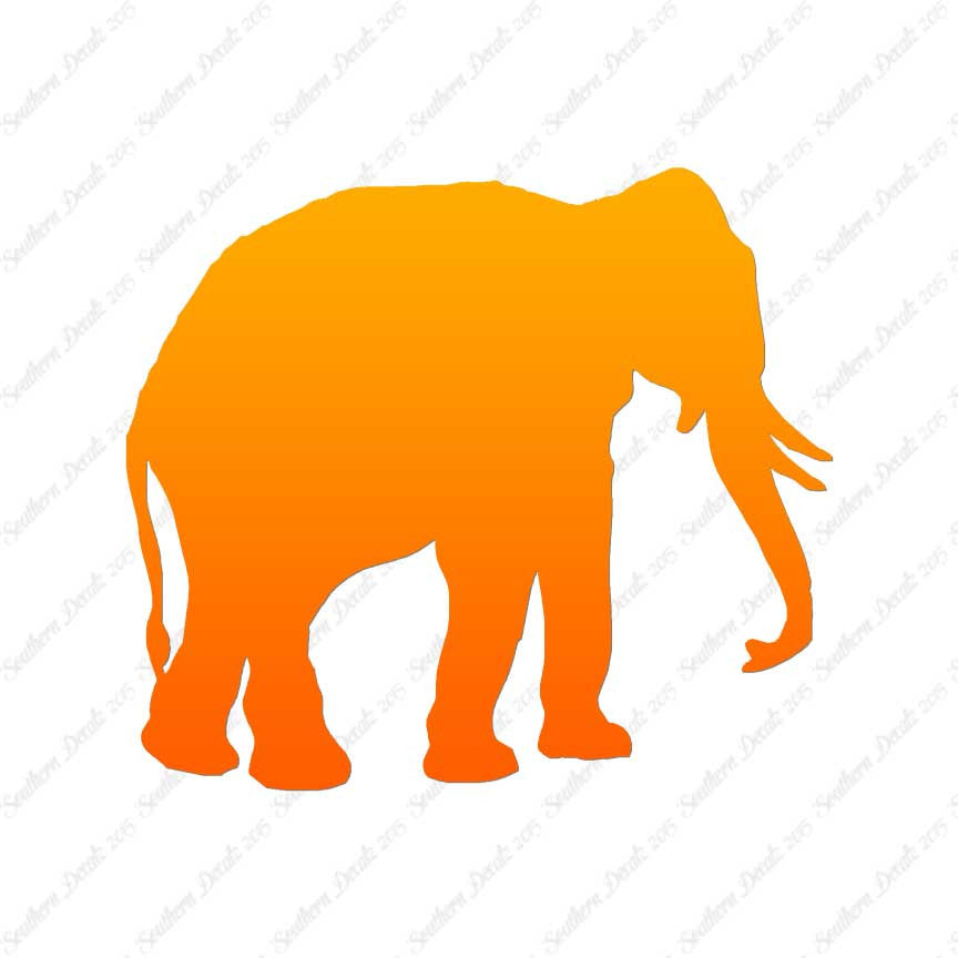 Elephant Trunk Tusks