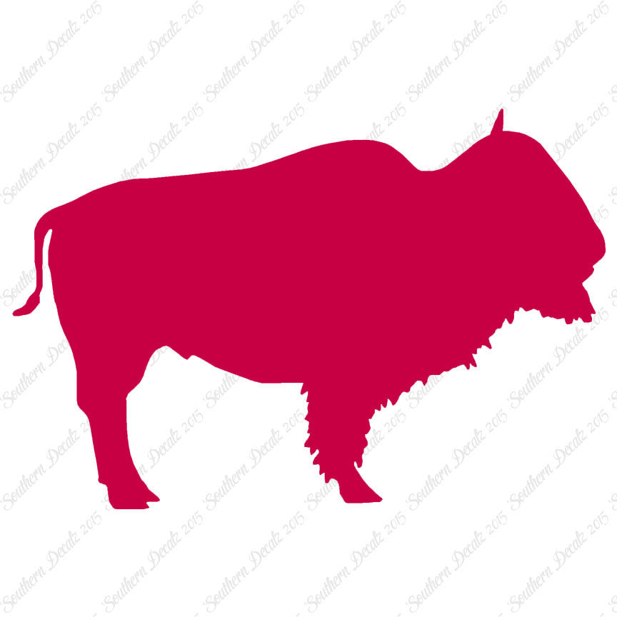 Bison Buffalo Bull