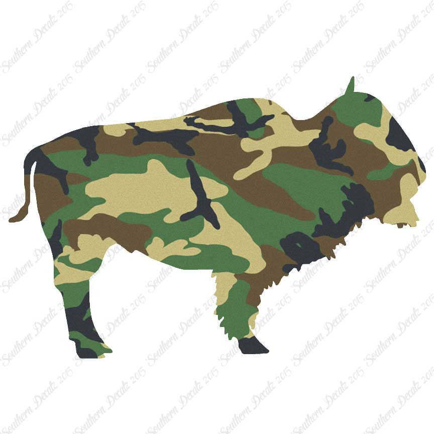 Bison Buffalo Bull