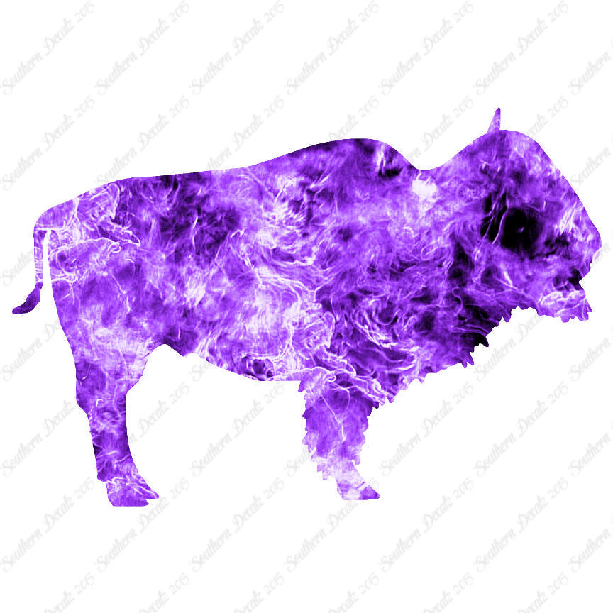 Bison Buffalo Bull