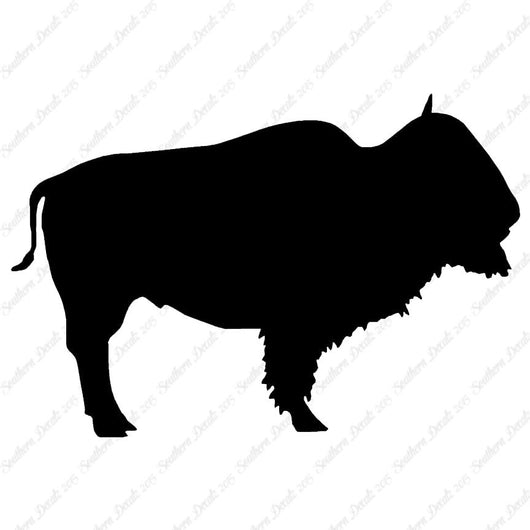 Bison Buffalo Bull