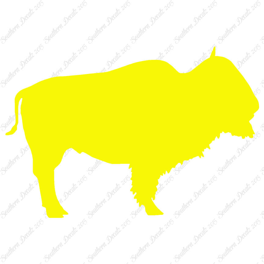 Bison Buffalo Bull