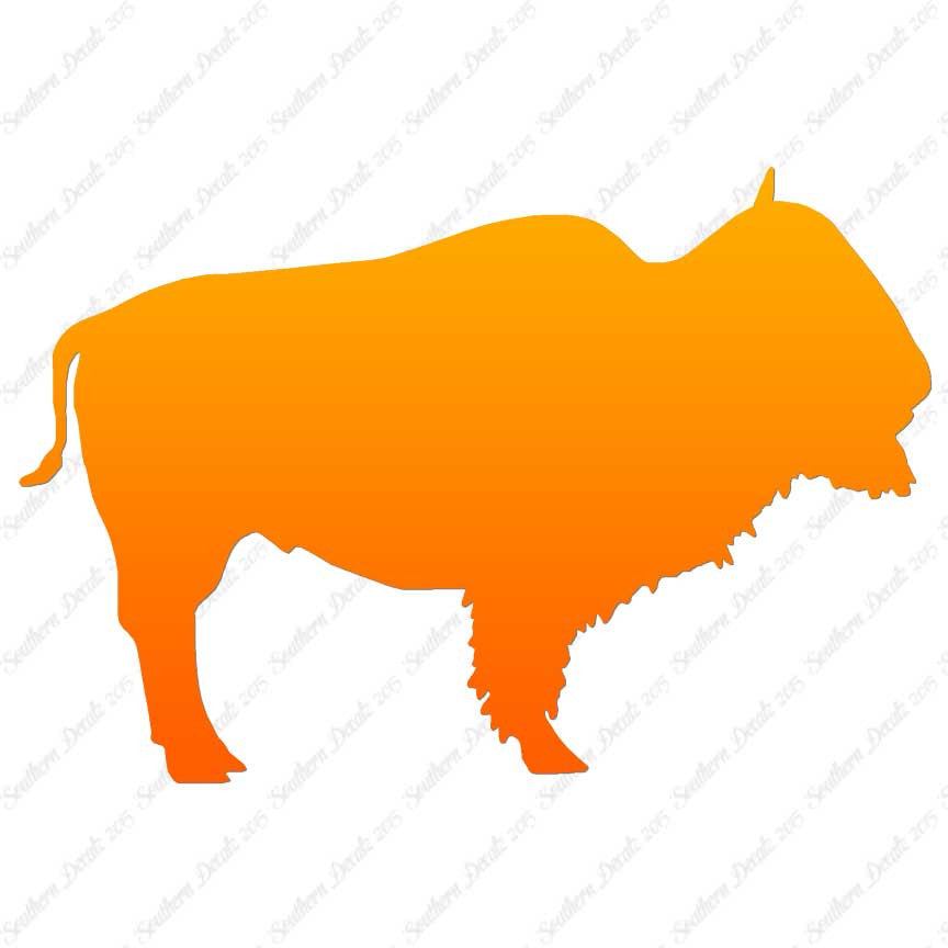 Bison Buffalo Bull