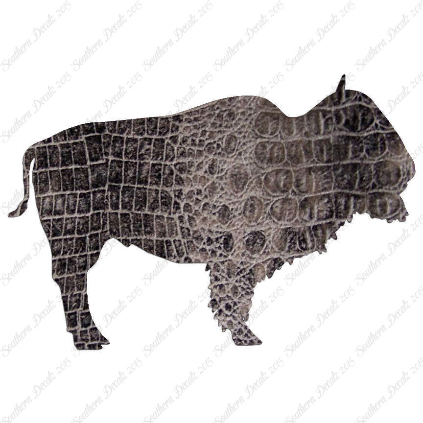 Bison Buffalo Bull