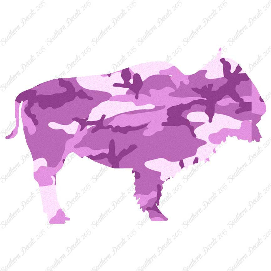 Bison Buffalo Bull