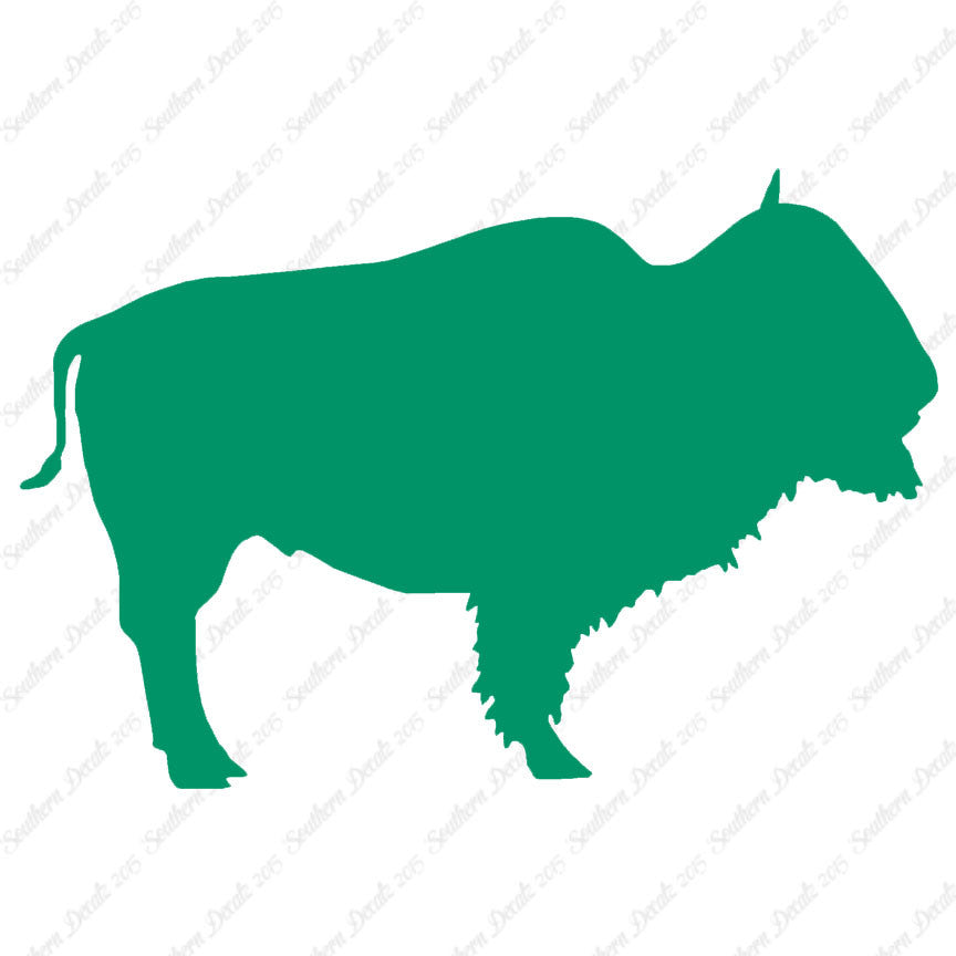 Bison Buffalo Bull