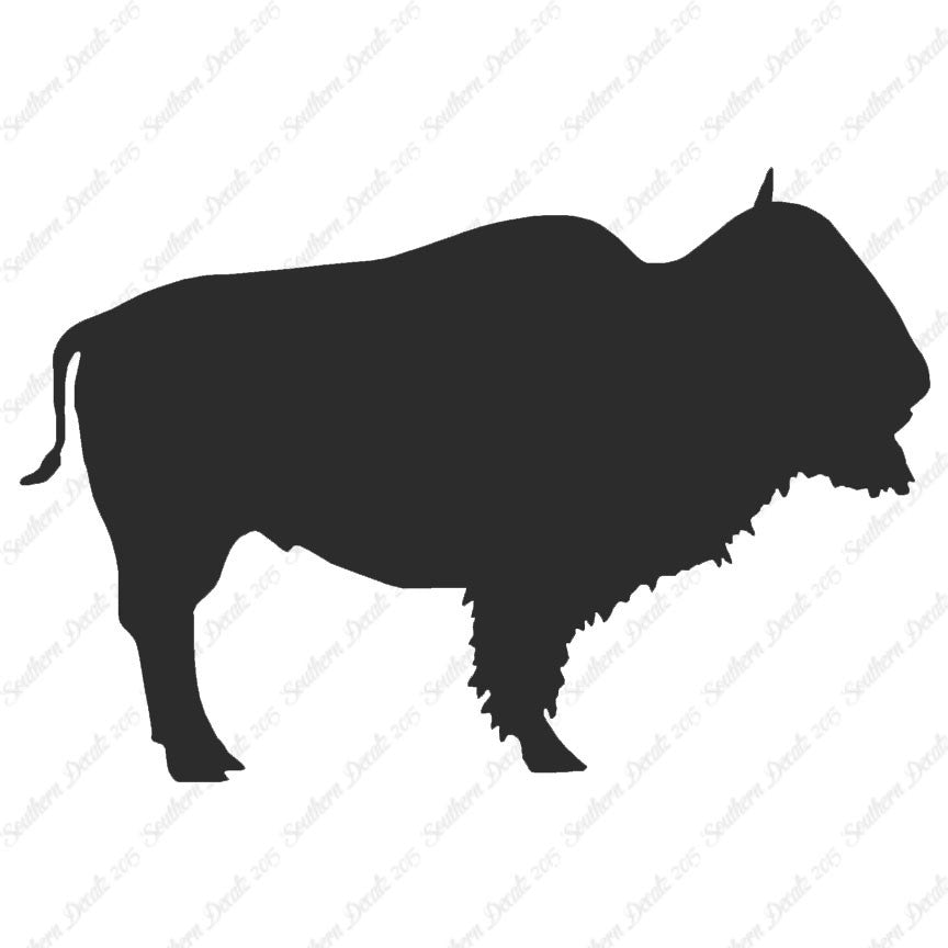 Bison Buffalo Bull