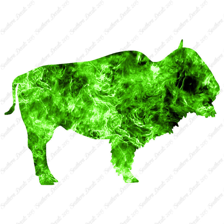 Bison Buffalo Bull