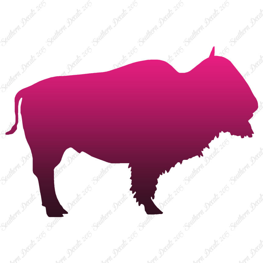 Bison Buffalo Bull