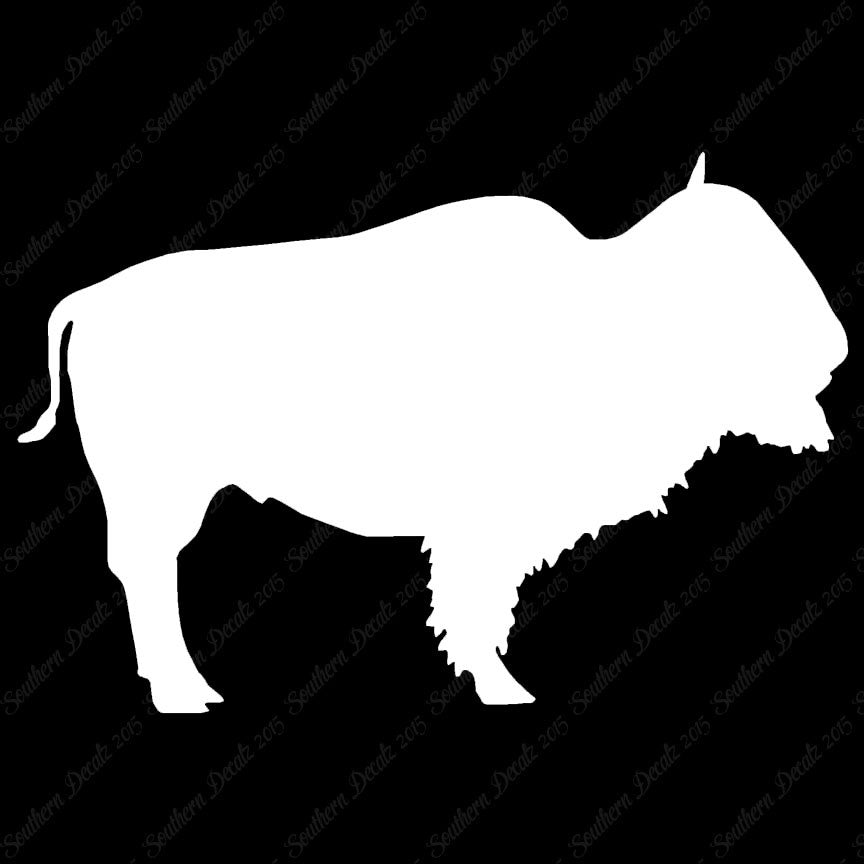 Bison Buffalo Bull