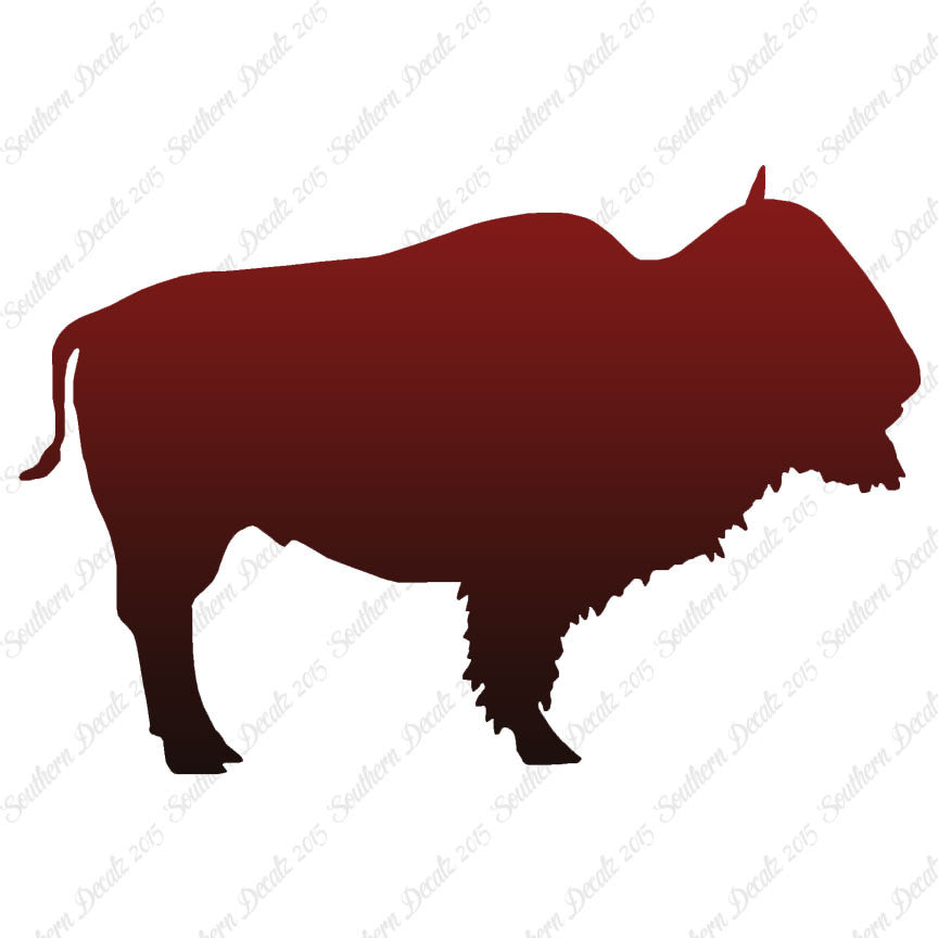 Bison Buffalo Bull