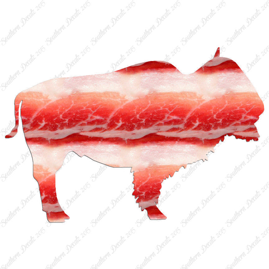 Bison Buffalo Bull