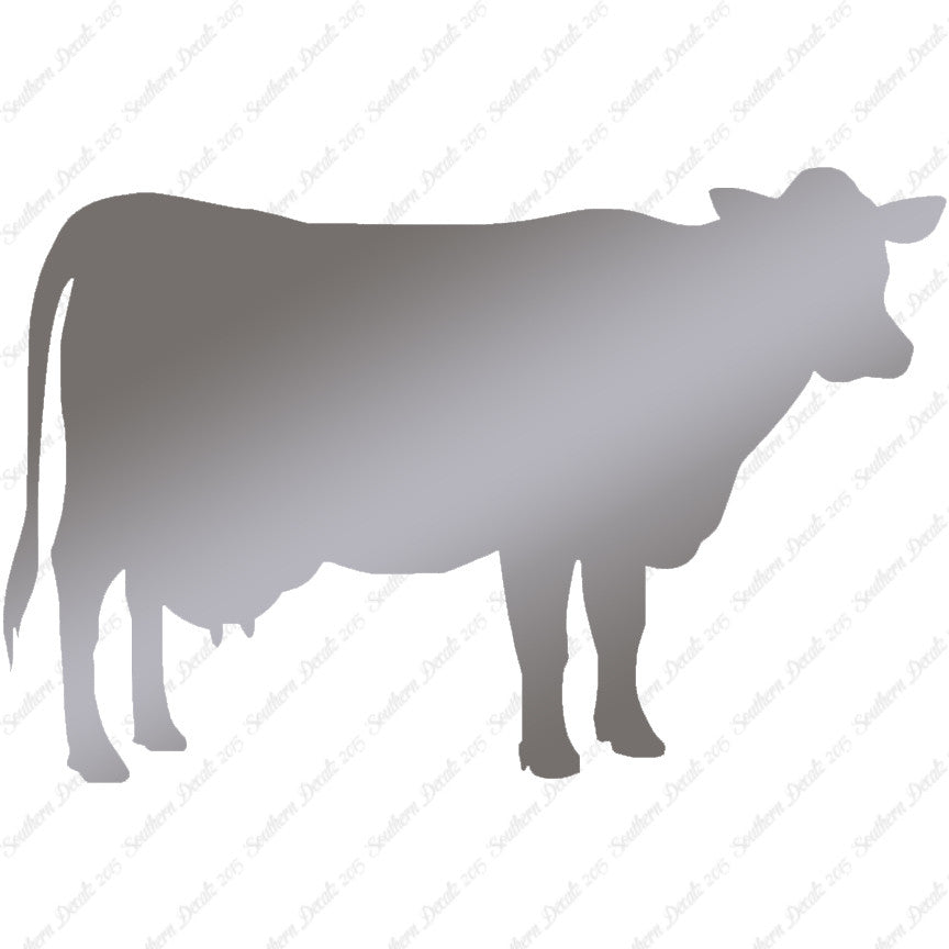Dairy Cow Bovine