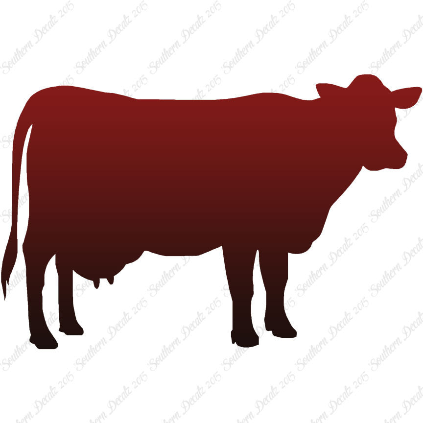 Dairy Cow Bovine