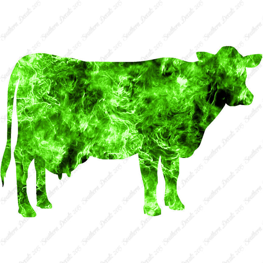 Dairy Cow Bovine