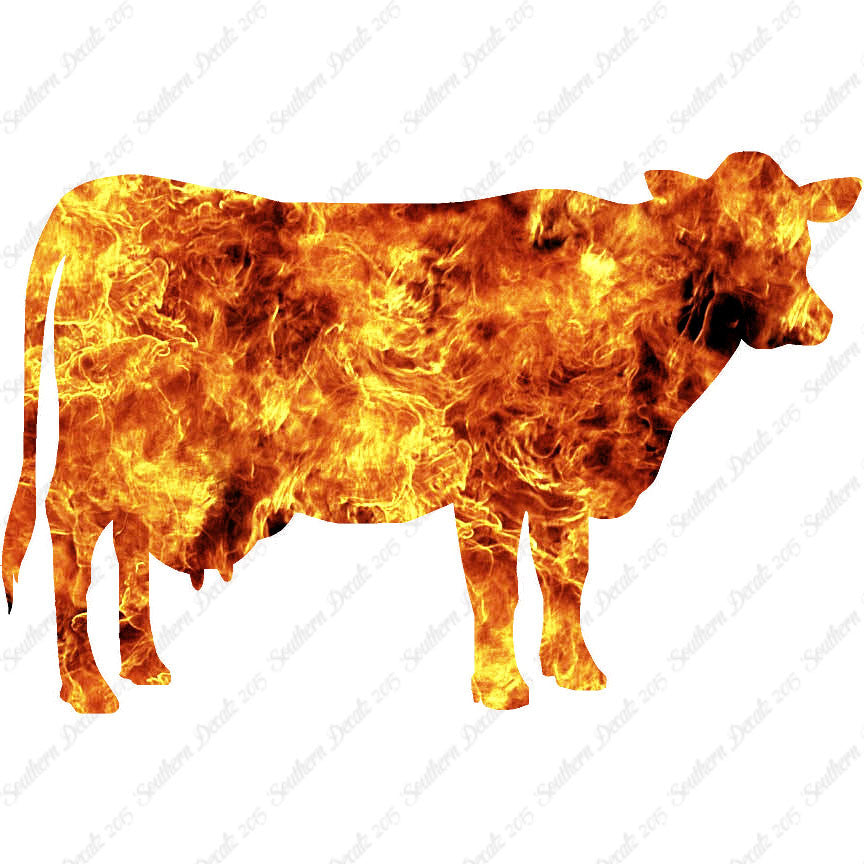 Dairy Cow Bovine