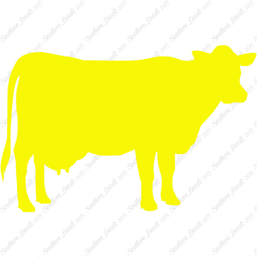 Dairy Cow Bovine